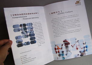 專業與遠見的視覺呈現 咨詢公司畫冊設計案例與理念解析