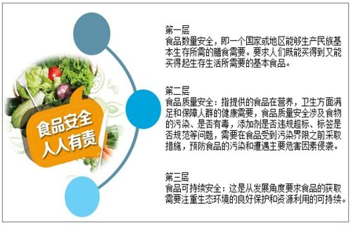 2021-2027年中國食品安全產(chǎn)業(yè)發(fā)展動態(tài)及投資戰(zhàn)略規(guī)劃深度分析報(bào)告