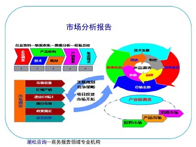 阿里地區(qū)社會穩(wěn)定性風險評估及商業(yè)計劃書（投資咨詢框架）